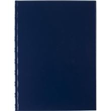 Uzavíratelné desky SPORO - A4, spodní plastové kapsy, modré