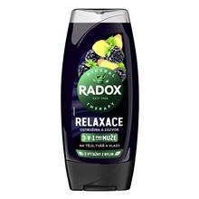 Sprchový gel Radox Men 3v1 - ostružina a zázvor, 225 ml