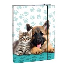 Box na sešity A4 - s gumou, Cute Friends