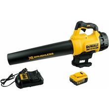 DeWalt DCM562P1-QW