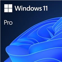 Microsoft Windows 11 Pro EN (OEM)
