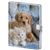 Product picture 800.285
