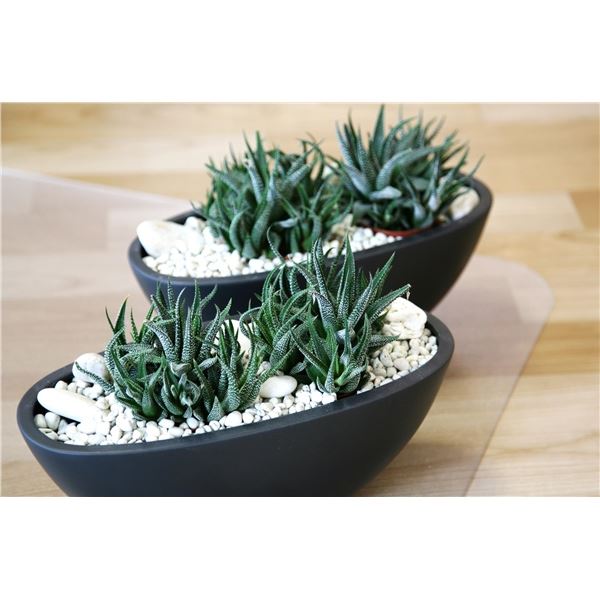 Product picture 510.7032