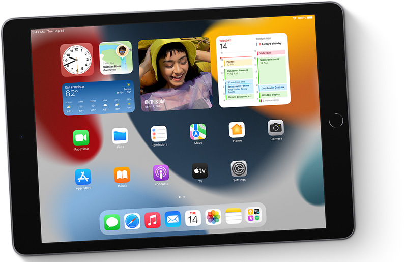 Apple iPad 2021 256GB, Wi-Fi, Space Gray - obrázek č. 1