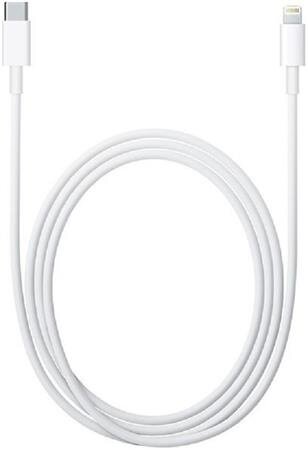 Apple Lightning to USB-C Cable (1 m) - obrázek č. 0