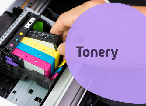 HOLDER Q4 2024 - TONERY